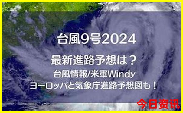 最新爆料深度解读管家婆期期四肖四码全新必看中特-王中王493333特马王中王